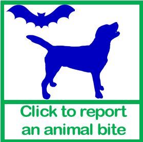 bite report logo