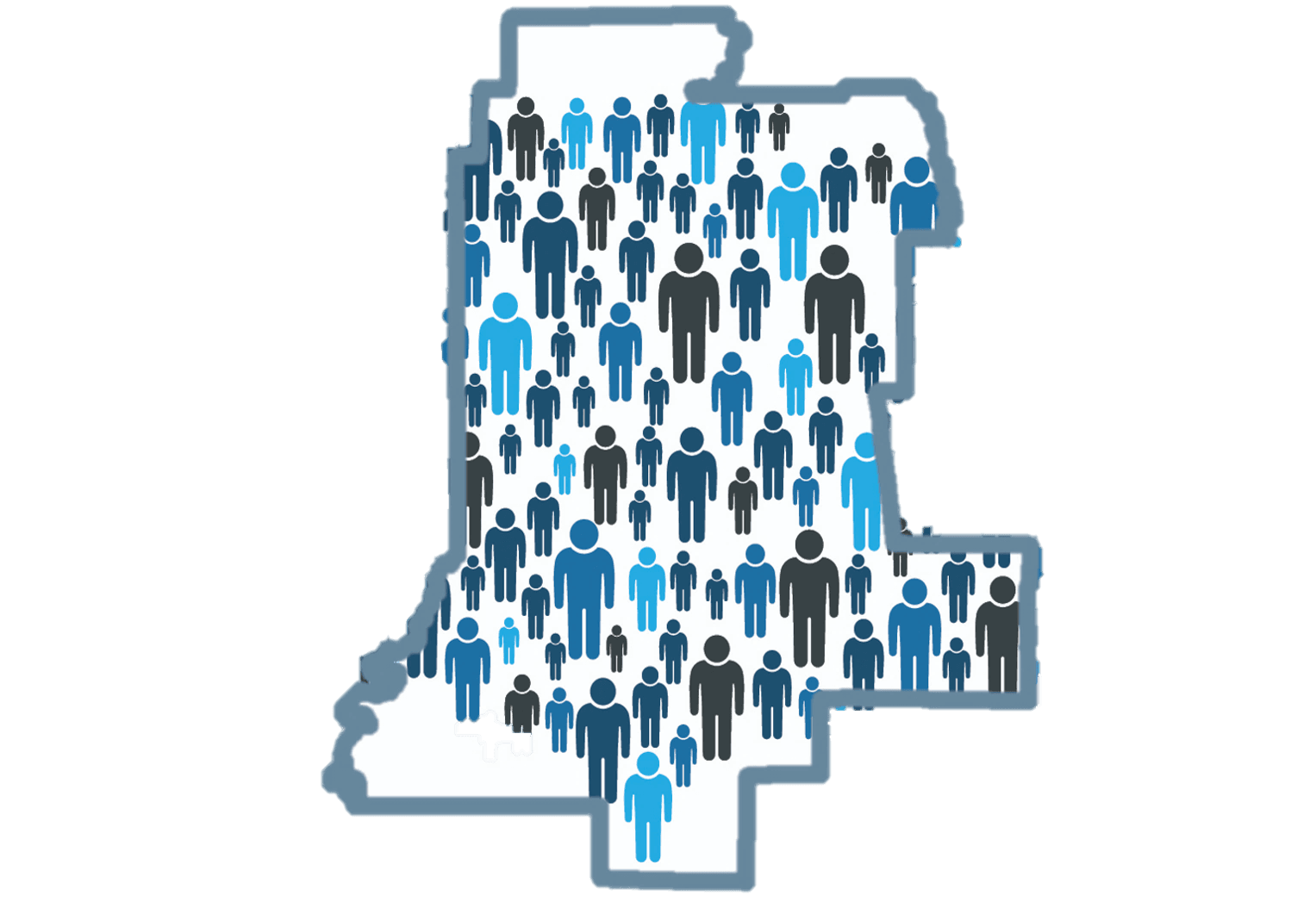 Census_LivCo_Website