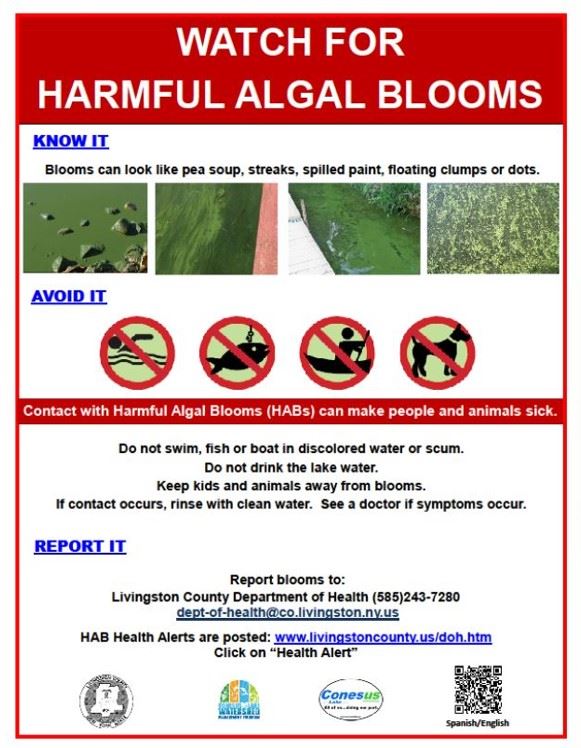 Harmful Algae Blooms