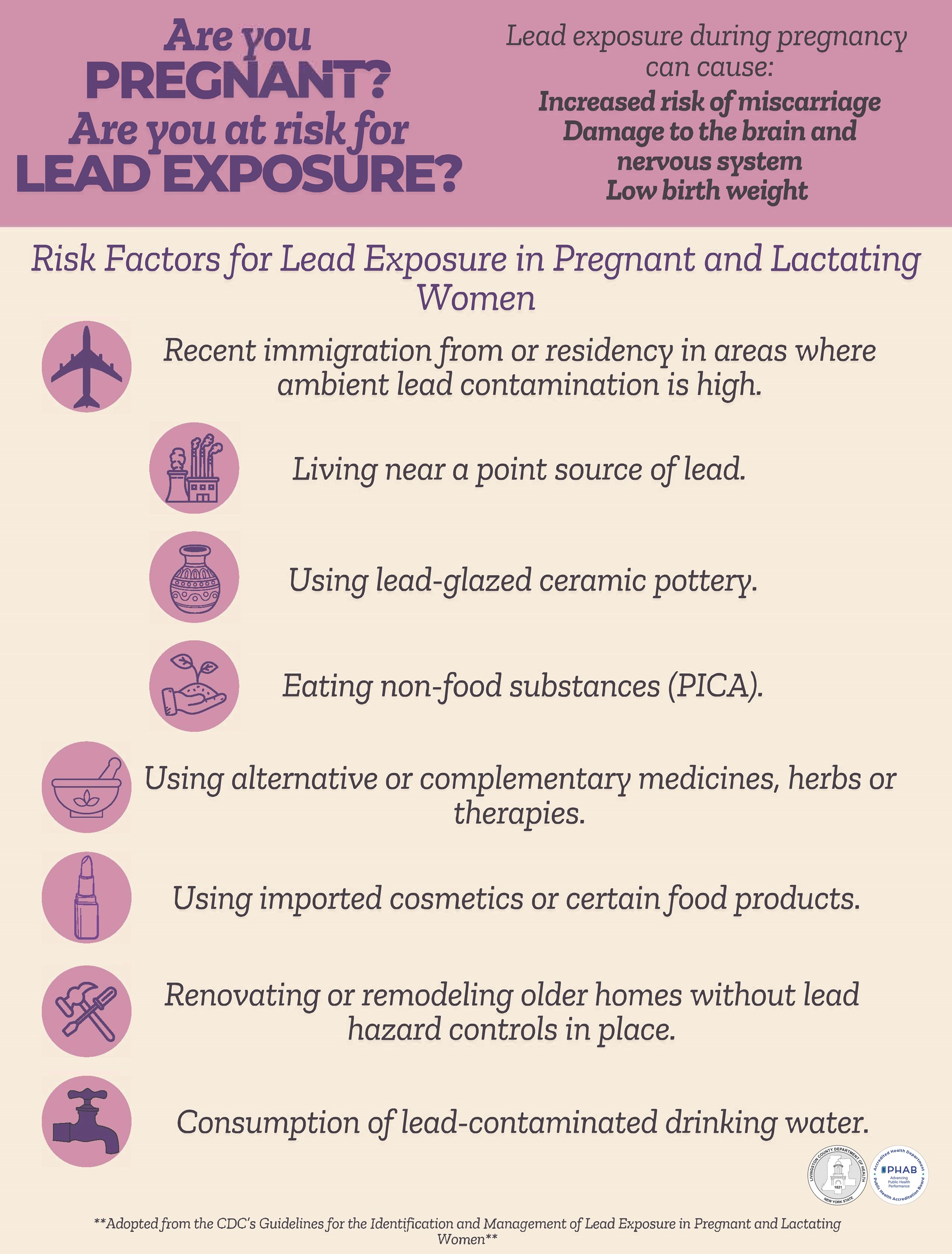 Lead in Pregnancy Flyer (with LCDOH Logos)