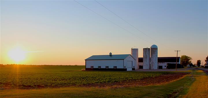 farm sun crop sm_thumb.jpg