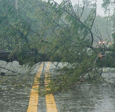 Learn more about preparation for severe storms Opens in new window