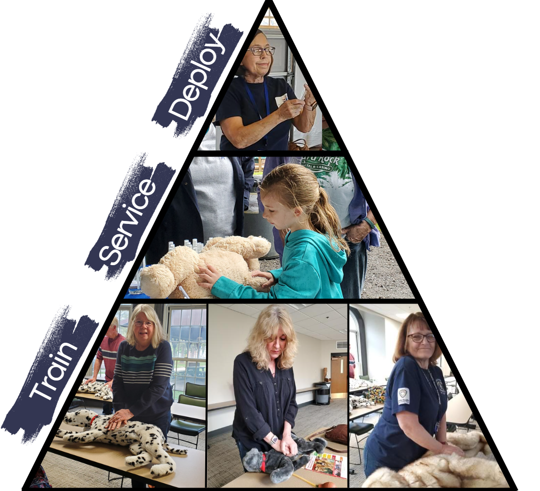 Medical Reserve Corps Pyramid