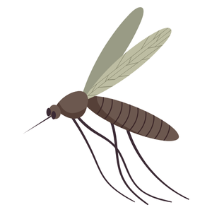 Insect Disease Transmission Logo Color