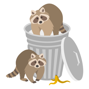 PH Nuisance Logo Color