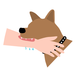 Rabies and Animal Bites Logo Color